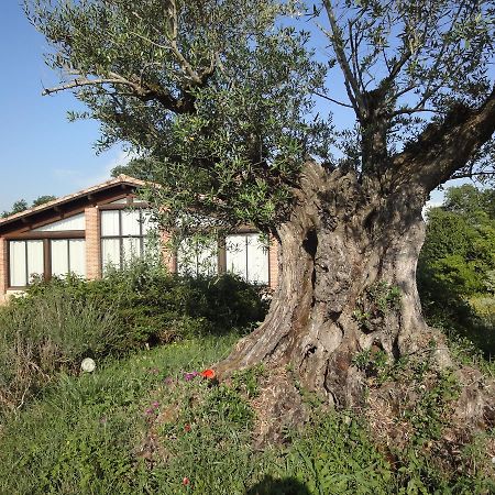 Chalet Domaine De Combe Ramond Veilhes Ngoại thất bức ảnh