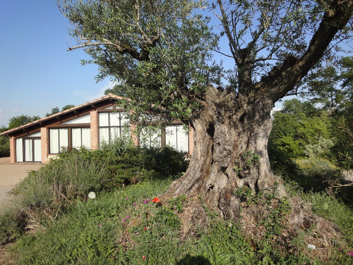 Chalet Domaine De Combe Ramond Veilhes Ngoại thất bức ảnh